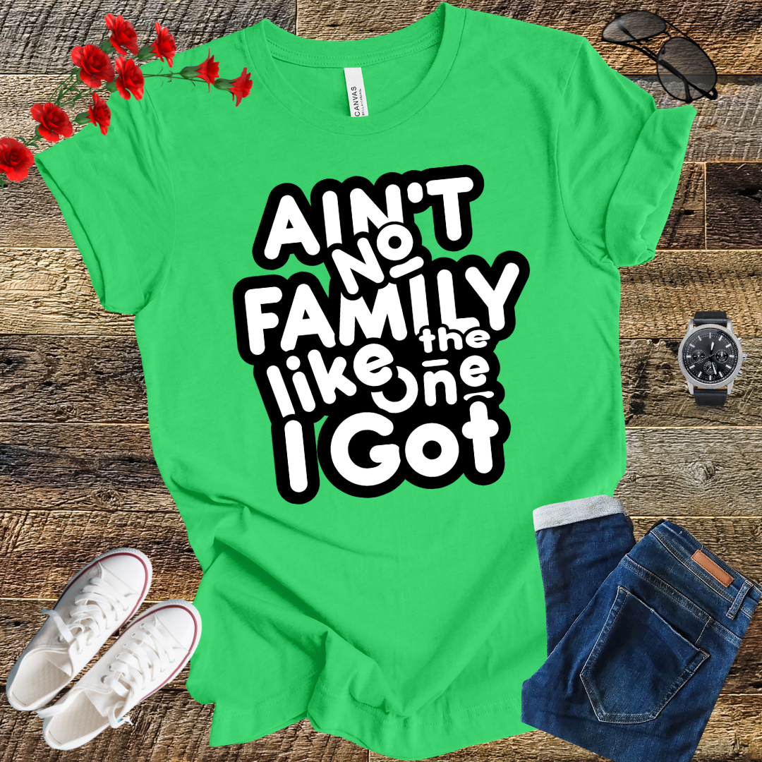 Ain’t No Family Like the One I Got T Shirt