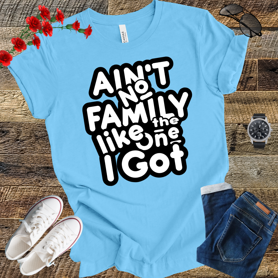 Ain’t No Family Like the One I Got T Shirt