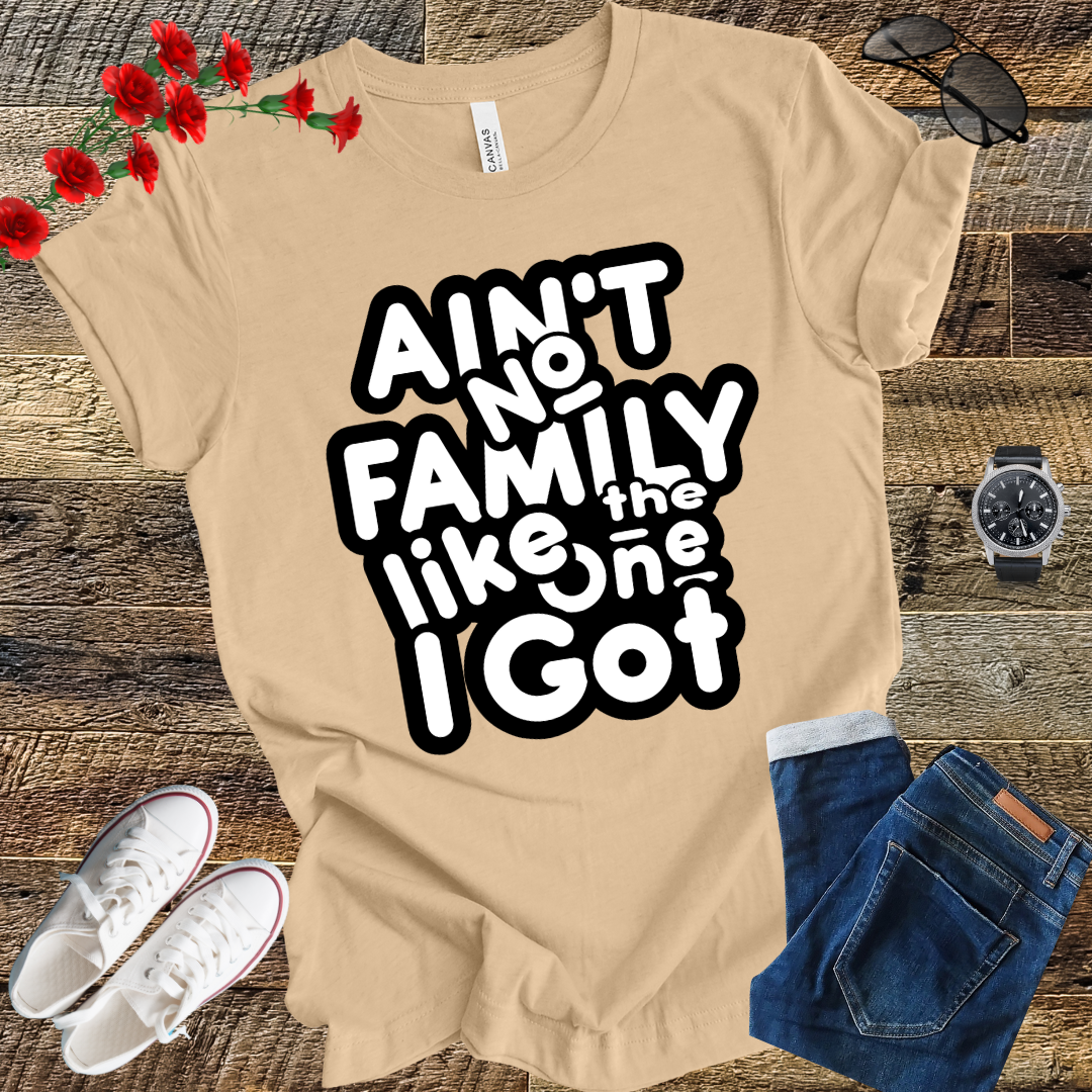 Ain’t No Family Like the One I Got T Shirt
