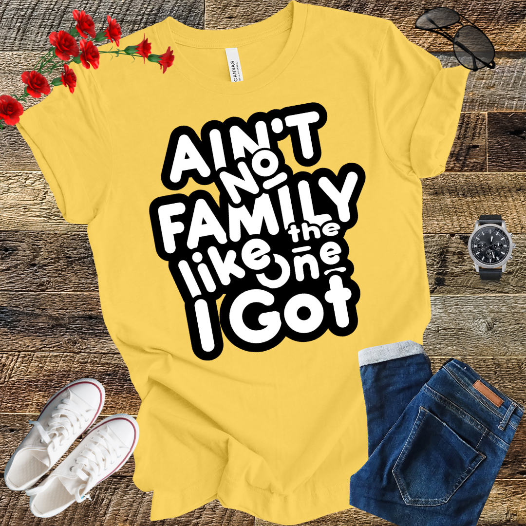 Ain’t No Family Like the One I Got T Shirt