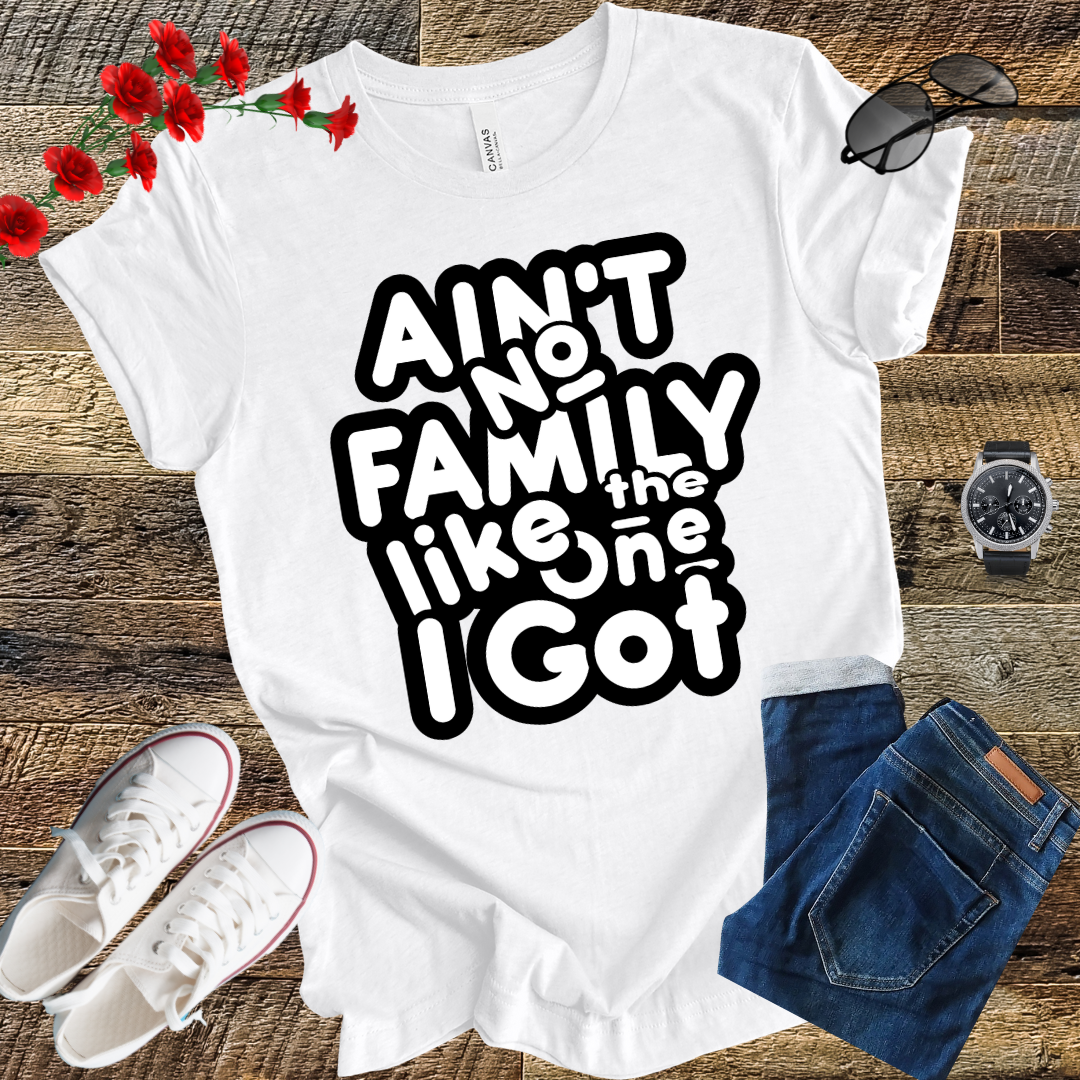 Ain’t No Family Like the One I Got T Shirt