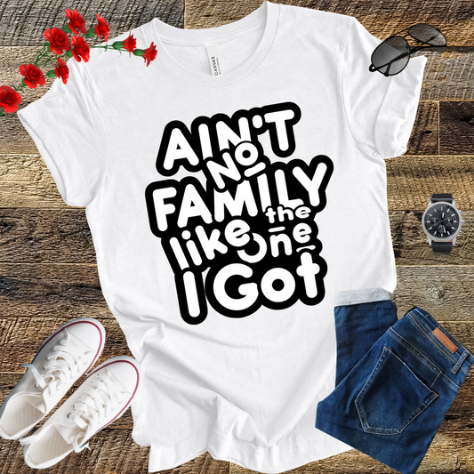 Ain’t No Family Like the One I Got T Shirt