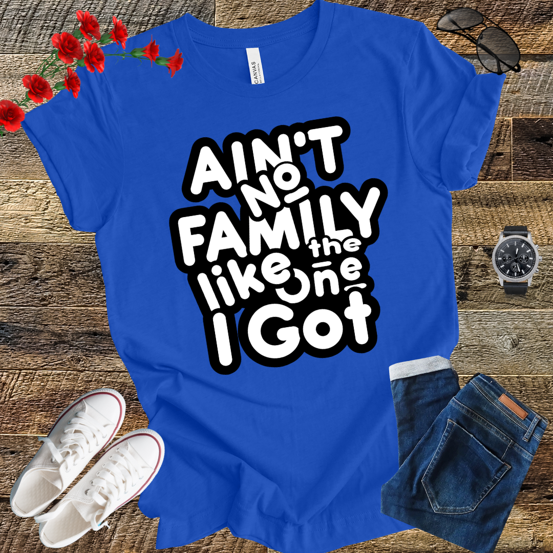 Ain’t No Family Like the One I Got T Shirt