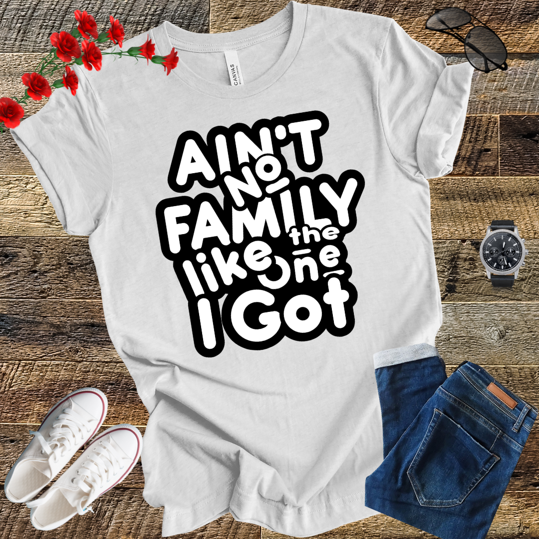Ain’t No Family Like the One I Got T Shirt