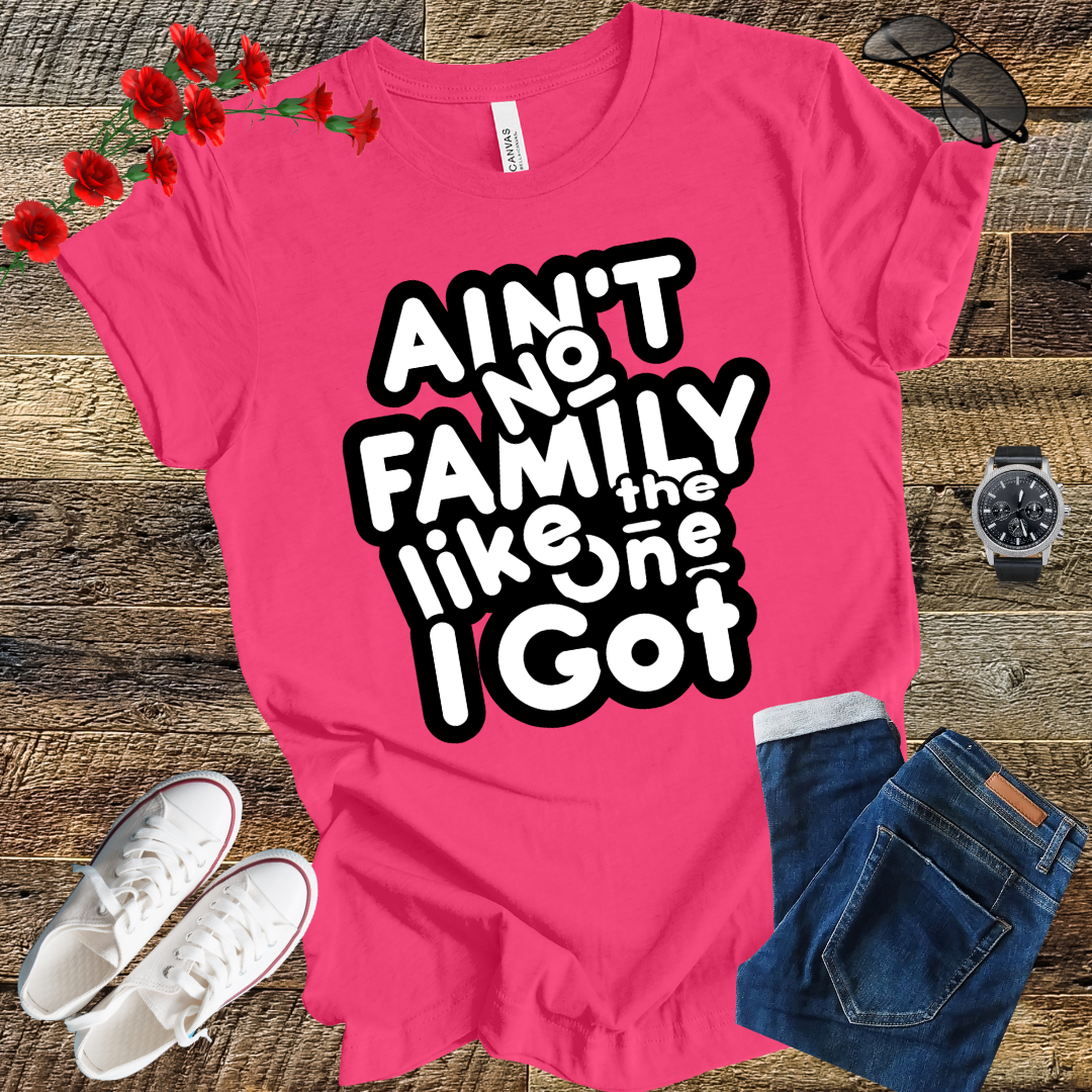 Ain’t No Family Like the One I Got T Shirt