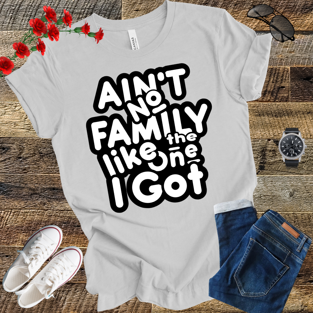 Ain’t No Family Like the One I Got T Shirt