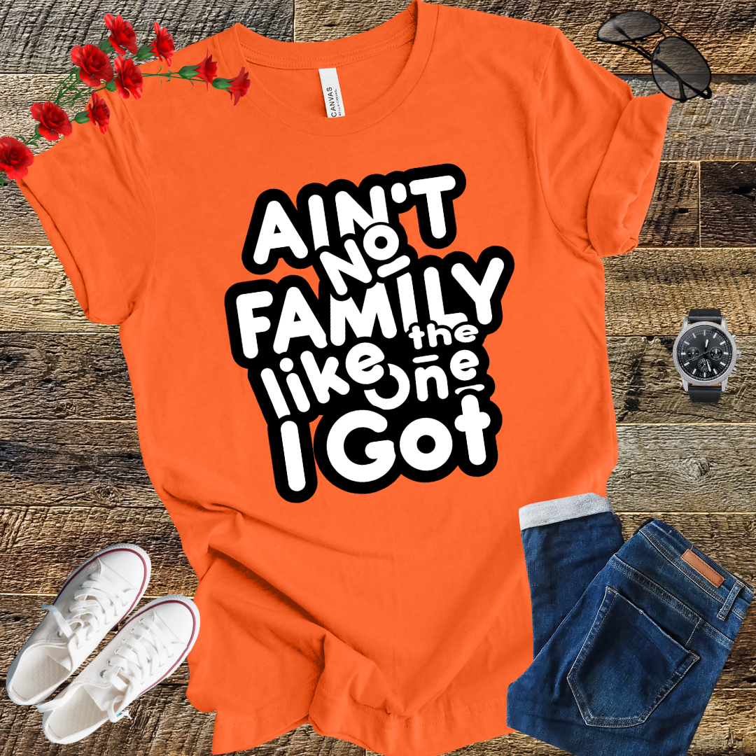 Ain’t No Family Like the One I Got T Shirt
