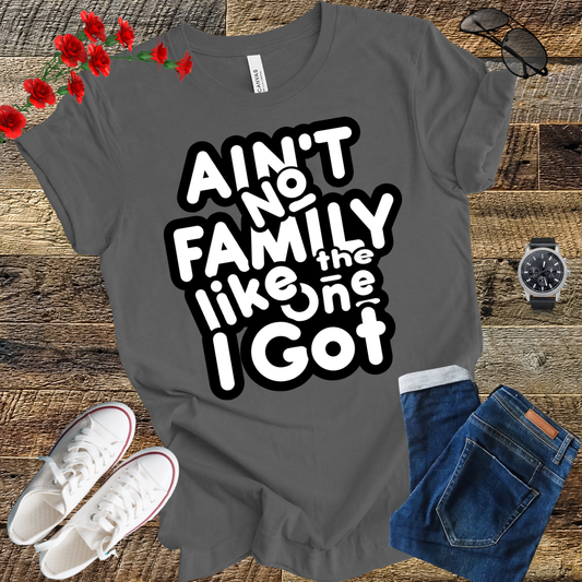 Ain’t No Family Like the One I Got T Shirt